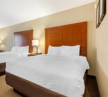 Comfort Inn and Suites Airport Room