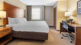 Comfort Inn and Suites Airport Suite