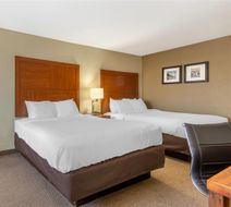 Comfort Inn and Suites Airport Room