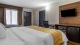 Quality Inn & Suites Ft Jackson Maingate Room