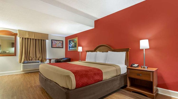 Econo Lodge Inn and Suites Lugoff Suite