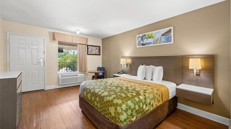 Econo Lodge Inn and Suites Lugoff Room