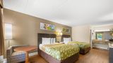 Econo Lodge Inn and Suites Lugoff Room