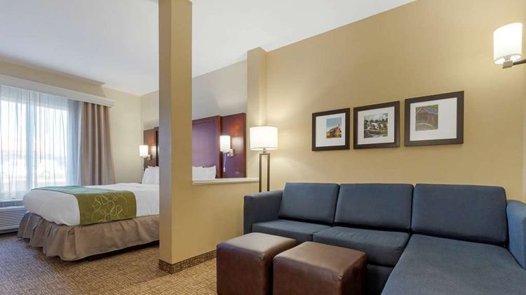 Comfort Suites Greenville South Room