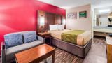 Econo Lodge Walterboro I-95 Room