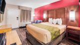Econo Lodge Walterboro I-95 Room