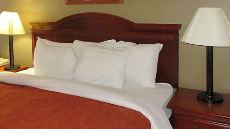 <b>Rodeway Inn Walterboro Room</b>. Images powered by <a href="https://iceportal.shijigroup.com/" title="IcePortal" target="_blank">IcePortal</a>.