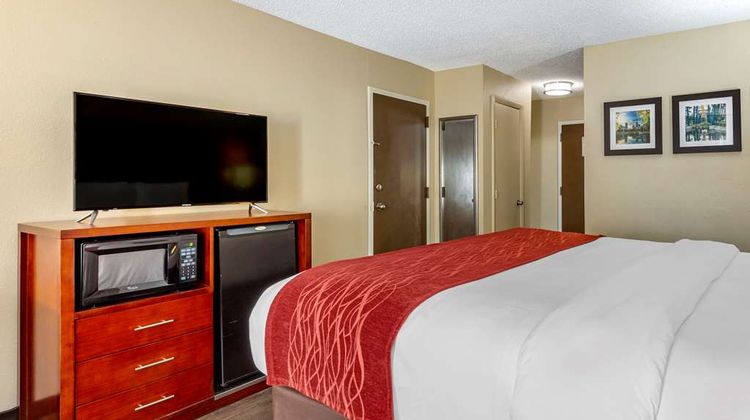 Comfort Inn At The Park Room