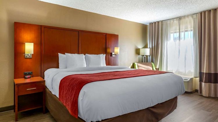 Comfort Inn At The Park Room