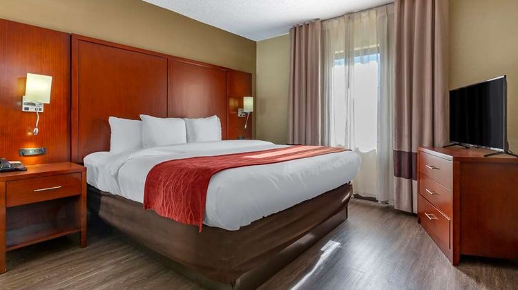 Comfort Inn At The Park Suite