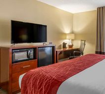 Comfort Inn At The Park Room