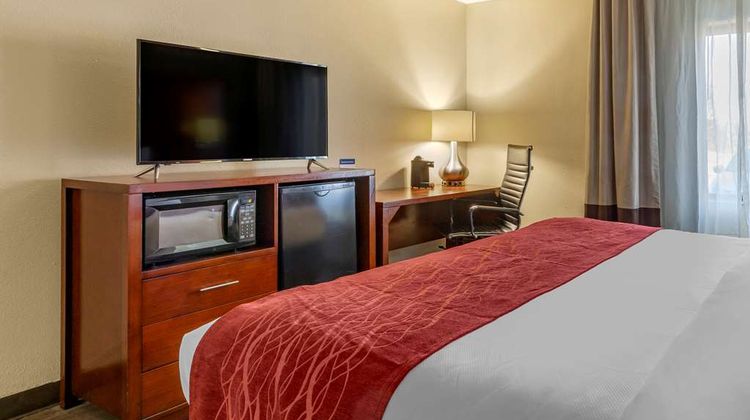 Comfort Inn At The Park Room