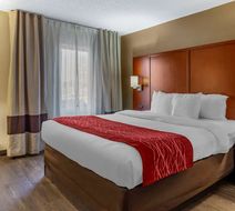 Comfort Inn At The Park Room