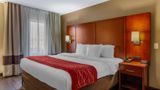 Comfort Inn At The Park Room