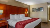 Comfort Inn At The Park Room