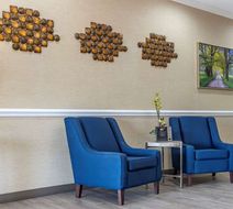 Comfort Inn & Suites Orangeburg Lobby