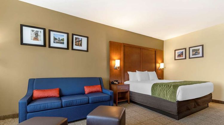 Comfort Inn & Suites Orangeburg Room