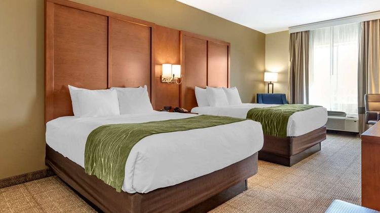 Comfort Inn & Suites Orangeburg Room