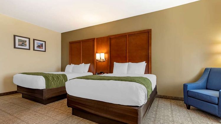 Comfort Inn & Suites Orangeburg Room