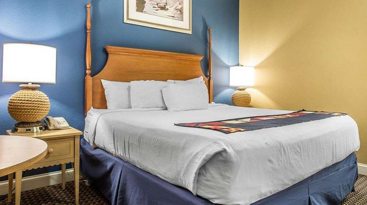 Harbour Lights Suite