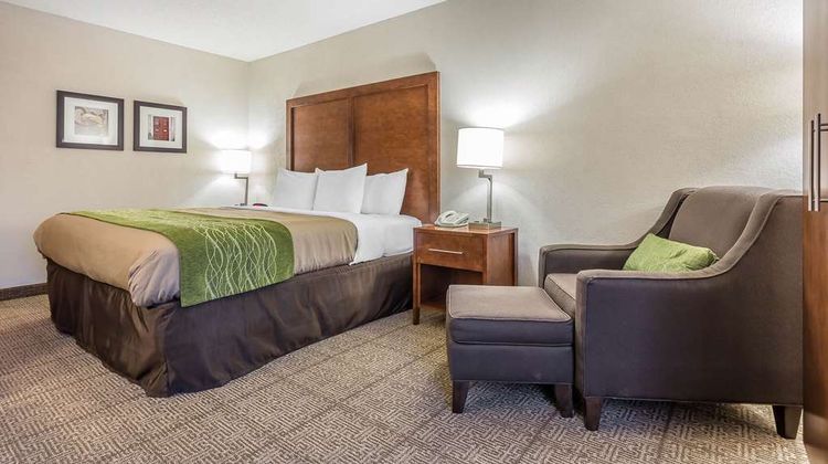 Quality Inn Summerville-Charleston Room