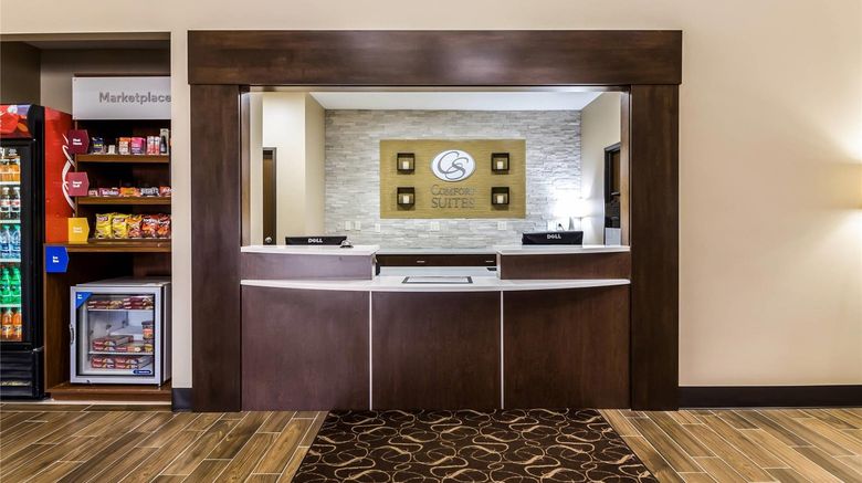 <b>Comfort Suites Sioux Falls Mall District Lobby</b>. Images powered by <a href="https://iceportal.shijigroup.com/" title="IcePortal" target="_blank">IcePortal</a>.