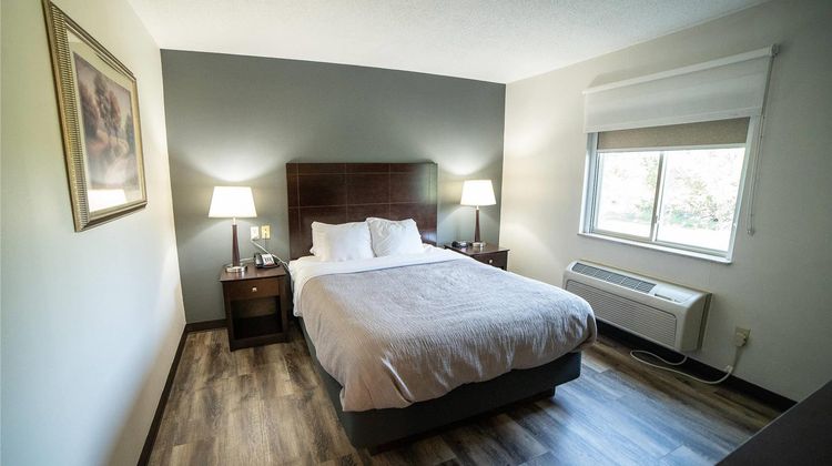 Quality Inn & Suites Suite