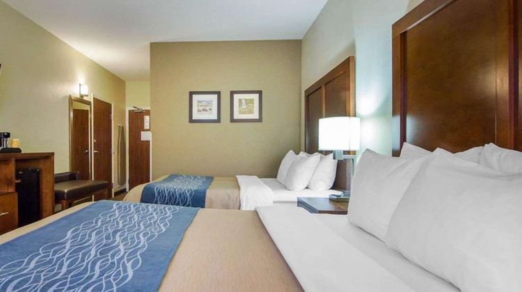 Comfort Inn Room