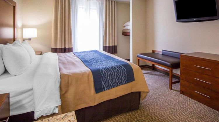 Comfort Inn Suite