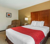 Comfort Inn & Suites Room