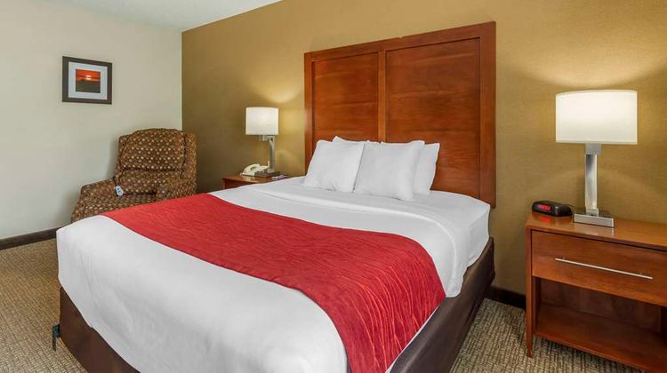 Comfort Inn & Suites Room