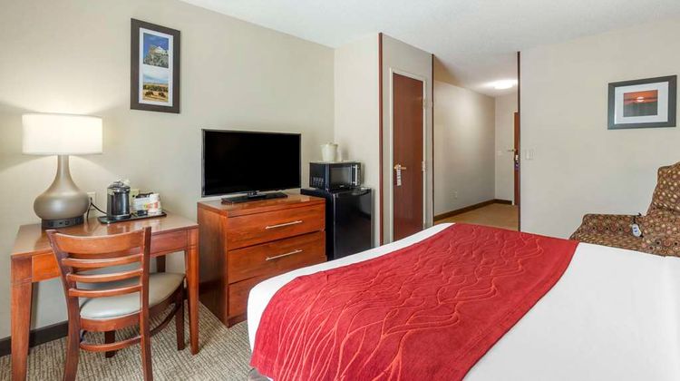 Comfort Inn & Suites Room