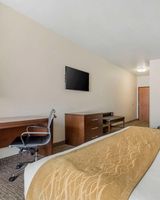 Comfort Inn and Suites