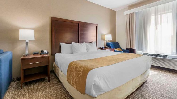 Comfort Inn and Suites Room