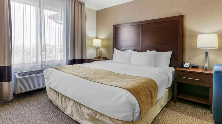 Comfort Inn and Suites Suite