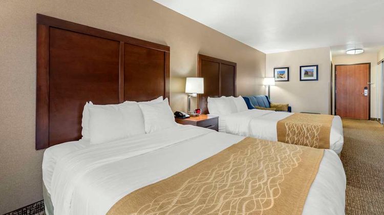 Comfort Inn and Suites Suite
