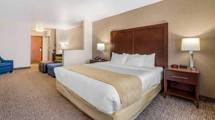 Comfort Inn and Suites Room