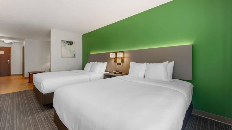 Comfort Suites Suite