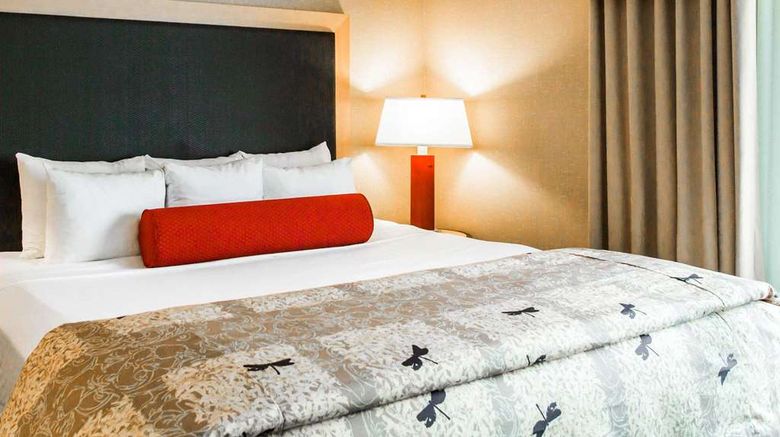 <b>Cambria Hotel Rapid City Near Mount Rushmore Room</b>. Images powered by <a href="https://iceportal.shijigroup.com/" title="IcePortal" target="_blank">IcePortal</a>.