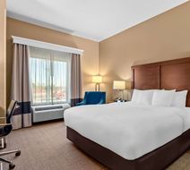 Comfort Inn & Suites Room