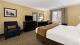Comfort Inn Room