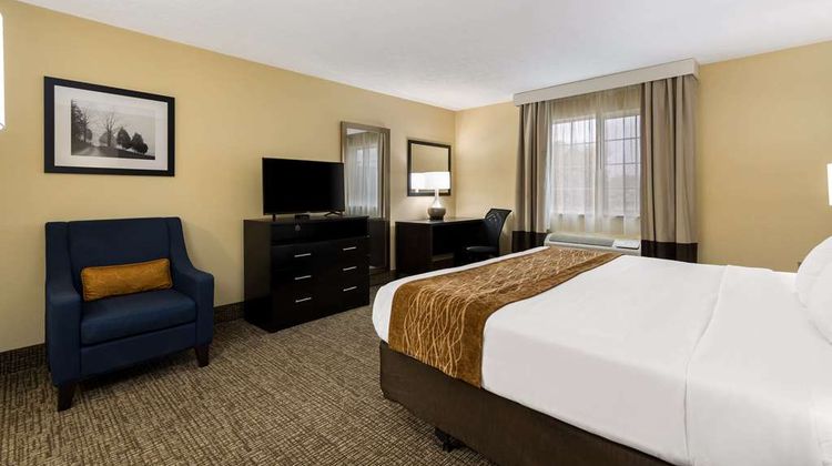 Comfort Inn Room