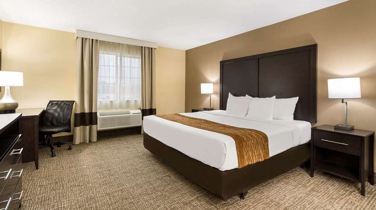 Comfort Inn Room