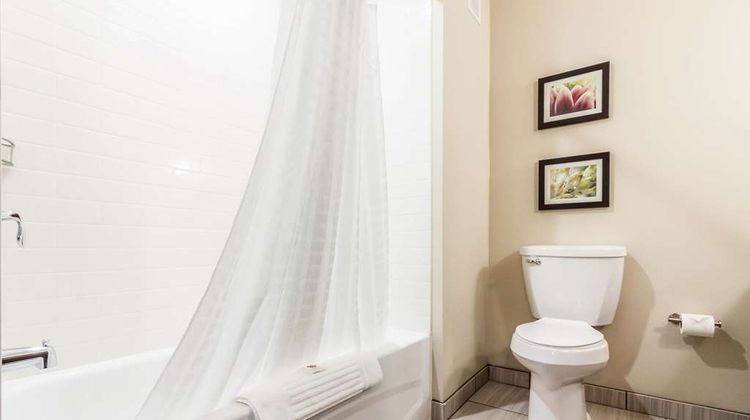 Comfort Suites University Room