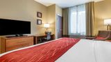 Comfort Inn And Suites Near Mt. Rushmore Room