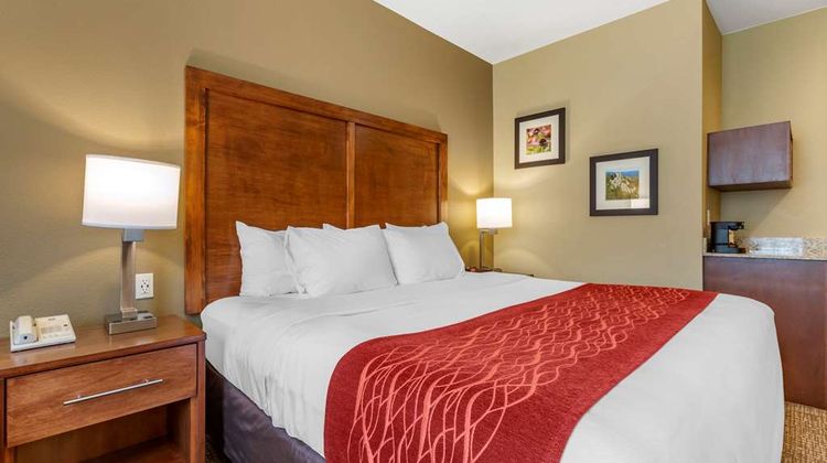 Comfort Inn & Suites Hill City Room