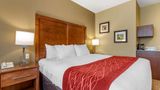 Comfort Inn And Suites Near Mt. Rushmore Room