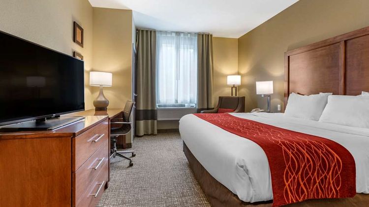 Comfort Inn & Suites Hill City Room
