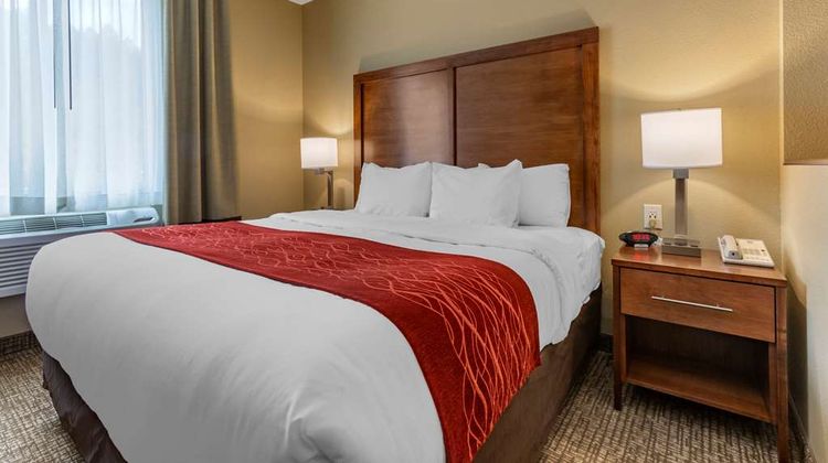 Comfort Inn & Suites Hill City Suite