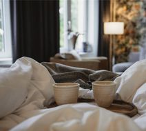 Home Hotel Norre Park Room